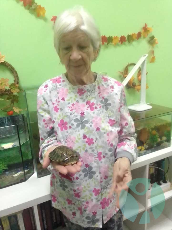 Дом престарелых г. Новосибирск: Как проходят будни в пансионате «Новая жизнь» в Новосибирске